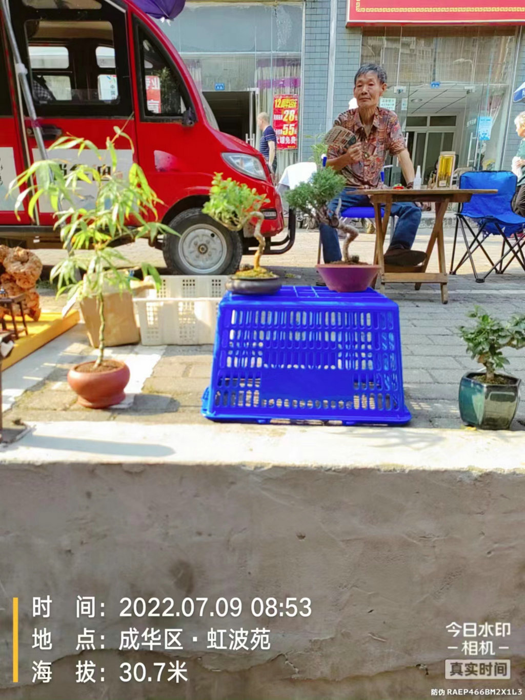 成华区东篱鸟市