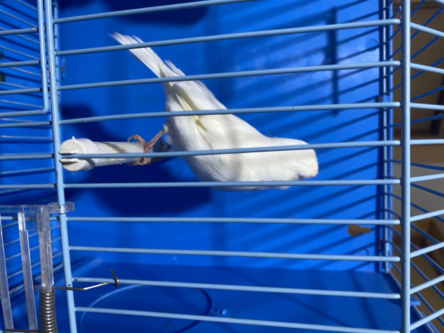 570D5268-E4C5-4A22-8820-B460DA5E3F26.jpeg