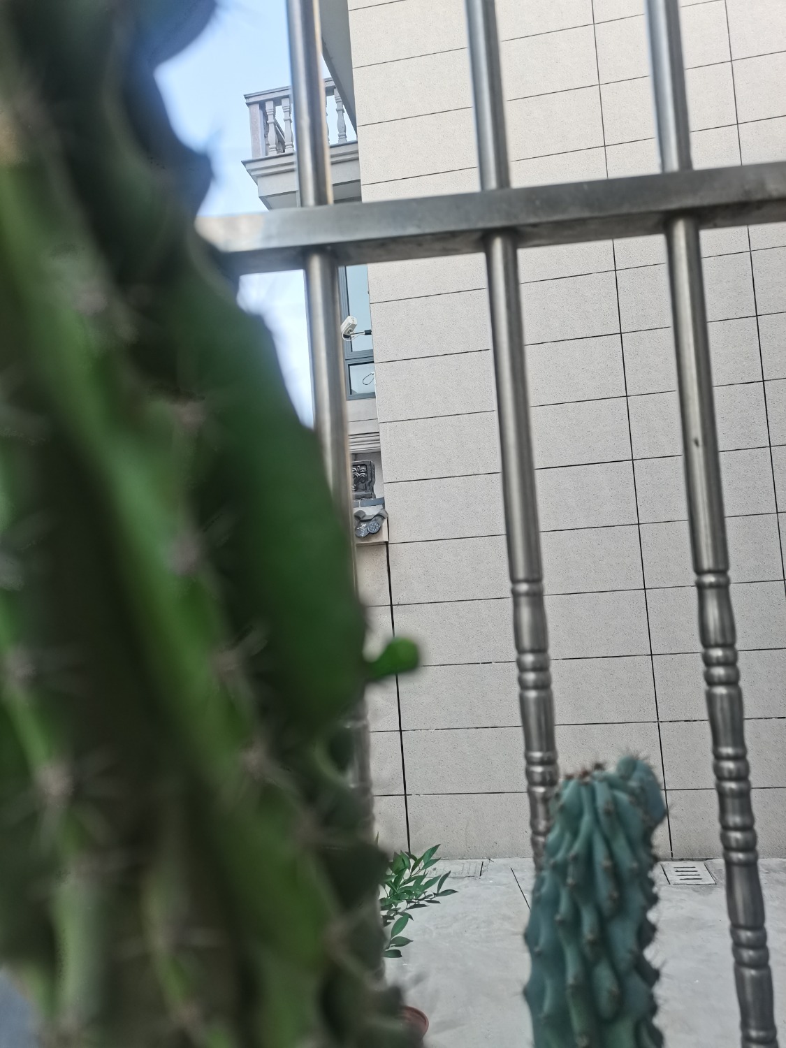 IMG_20240614_074710.jpg
